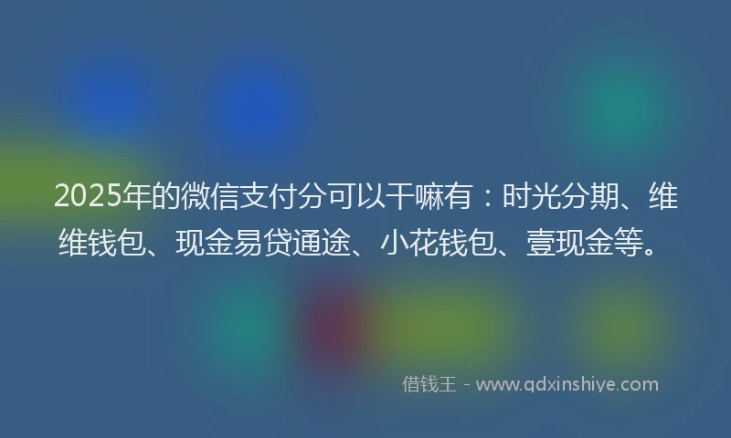 2025年的微信支付分可以干嘛有：时光分期、维维钱包、现金易贷通途、小花钱包、壹现金等。