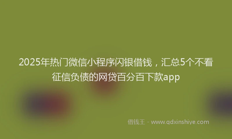 2025年热门微信小程序闪银借钱，汇总5个不看征信负债的网贷百分百下款app
