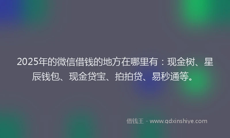 2025年的微信借钱的地方在哪里有：现金树、星辰钱包、现金贷宝、拍拍贷、易秒通等。