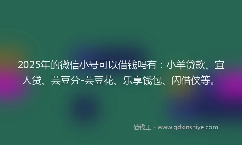2025年的微信小号可以借钱吗有：小羊贷款、宜人贷、芸豆分-芸豆花、乐享钱包、闪借侠等。