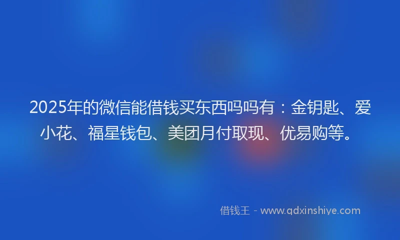 2025年的微信能借钱买东西吗吗有：金钥匙、爱小花、福星钱包、美团月付取现、优易购等。