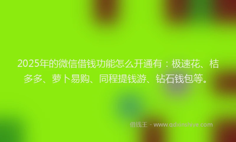 2025年的微信借钱功能怎么开通有：极速花、桔多多、萝卜易购、同程提钱游、钻石钱包等。
