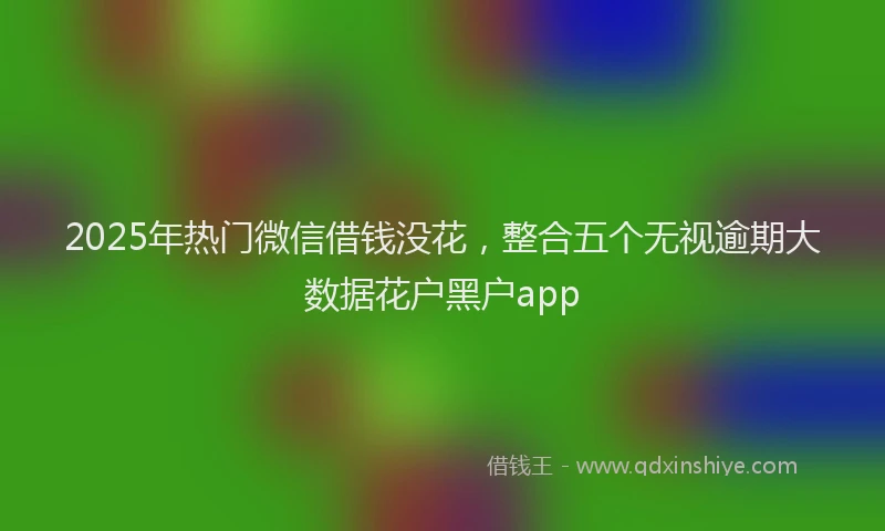 2025年热门微信借钱没花，整合五个无视逾期大数据花户黑户app