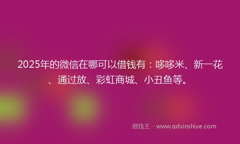 2025年的微信在哪可以借钱有：哆哆米、新一花、通过放、彩虹商城、小丑鱼等。