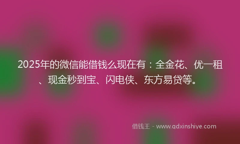 2025年的微信能借钱么现在有：全金花、优一租、现金秒到宝、闪电侠、东方易贷等。