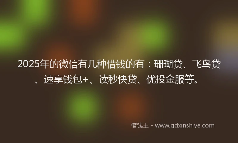 2025年的微信有几种借钱的有：珊瑚贷、飞鸟贷、速享钱包+、读秒快贷、优投金服等。