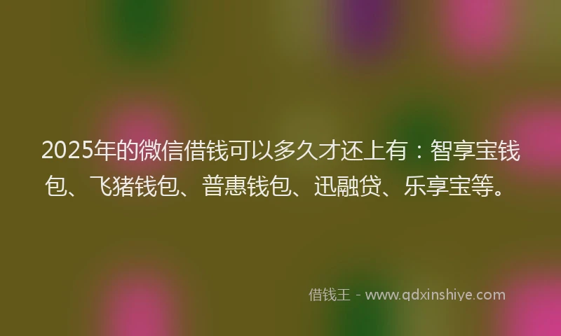 2025年的微信借钱可以多久才还上有：智享宝钱包、飞猪钱包、普惠钱包、迅融贷、乐享宝等。