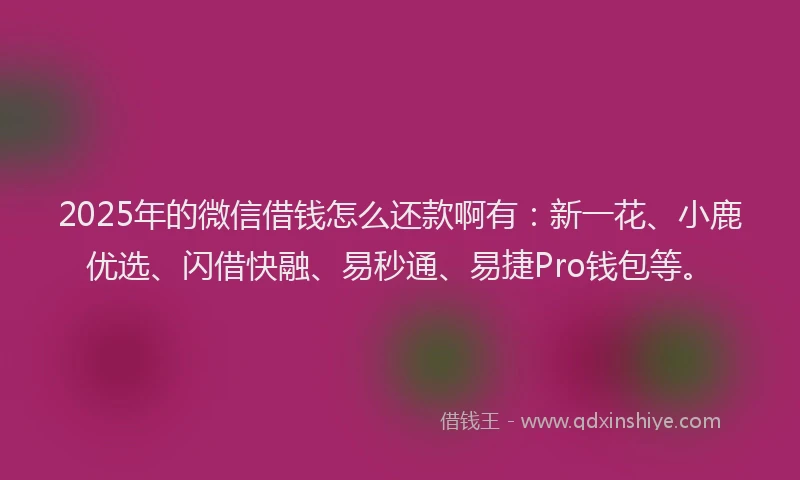 2025年的微信借钱怎么还款啊有：新一花、小鹿优选、闪借快融、易秒通、易捷Pro钱包等。