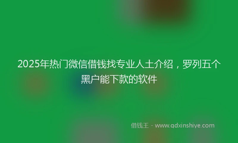 2025年热门微信借钱找专业人土介绍，罗列五个黑户能下款的软件