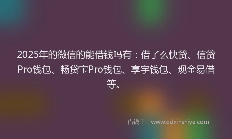 2025年的微信的能借钱吗有：借了么快贷、信贷Pro钱包、畅贷宝Pro钱包、享宇钱包、现金易借等。
