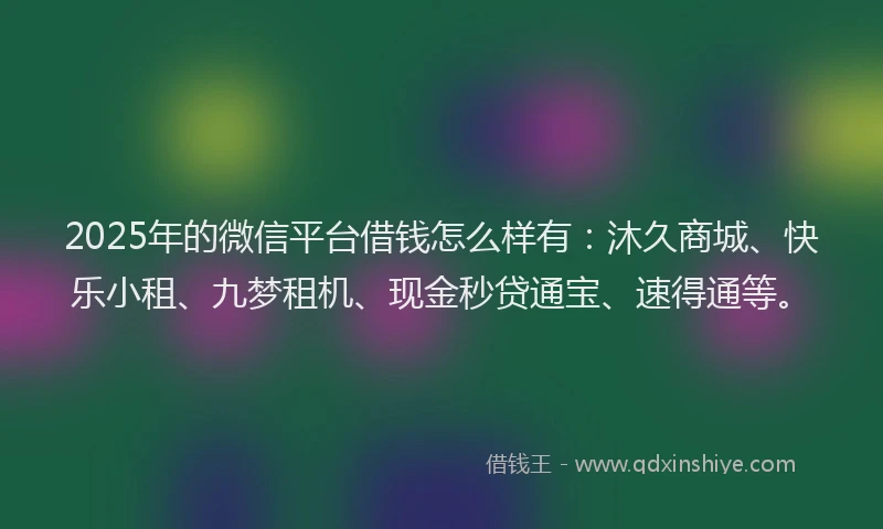 2025年的微信平台借钱怎么样有：沐久商城、快乐小租、九梦租机、现金秒贷通宝、速得通等。