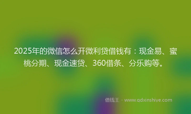 2025年的微信怎么开微利贷借钱有：现金易、蜜桃分期、现金速贷、360借条、分乐购等。