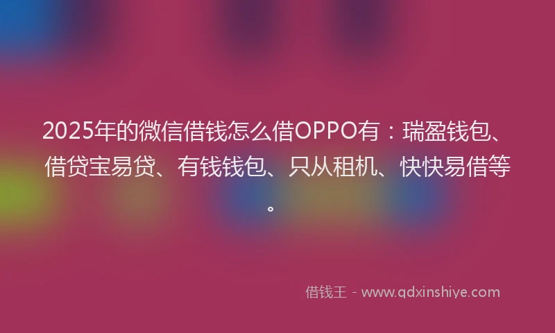2025年的微信借钱怎么借OPPO有：瑞盈钱包、借贷宝易贷、有钱钱包、只从租机、快快易借等。