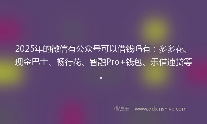 2025年的微信有公众号可以借钱吗有：多多花、现金巴士、畅行花、智融Pro+钱包、乐借速贷等。