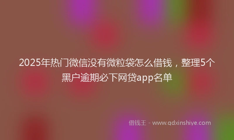 2025年热门微信没有微粒袋怎么借钱，整理5个黑户逾期必下网贷app名单
