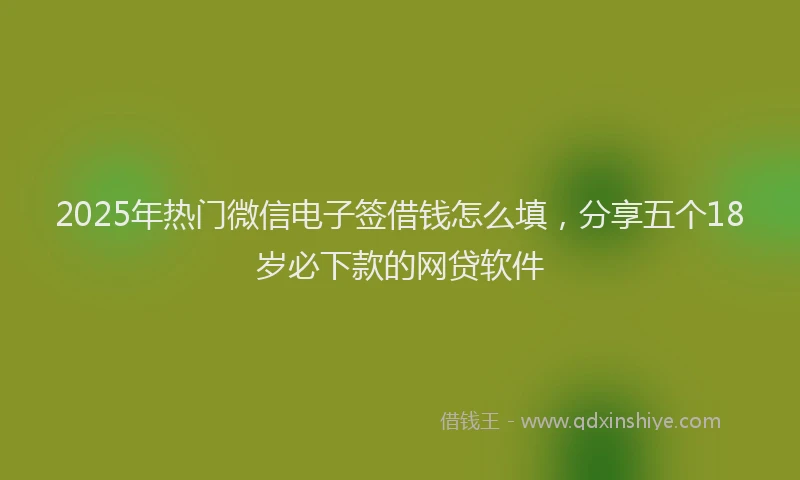 2025年热门微信电子签借钱怎么填，分享五个18岁必下款的网贷软件