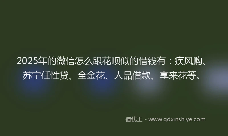 2025年的微信怎么跟花呗似的借钱有：疾风购、苏宁任性贷、全金花、人品借款、享来花等。