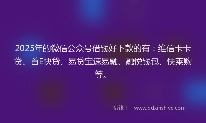 2025年的微信公众号借钱好下款的有：维信卡卡贷、首E快贷、易贷宝速易融、融悦钱包、快莱购等。