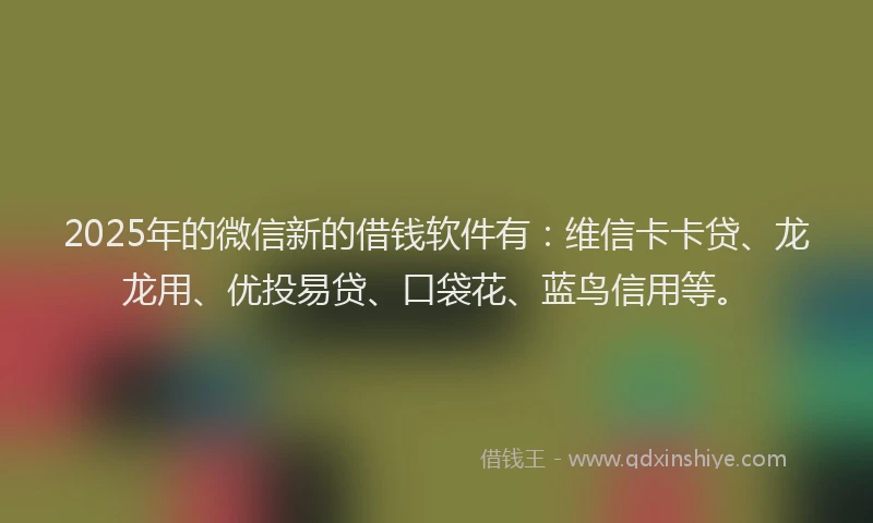 2025年的微信新的借钱软件有：维信卡卡贷、龙龙用、优投易贷、口袋花、蓝鸟信用等。