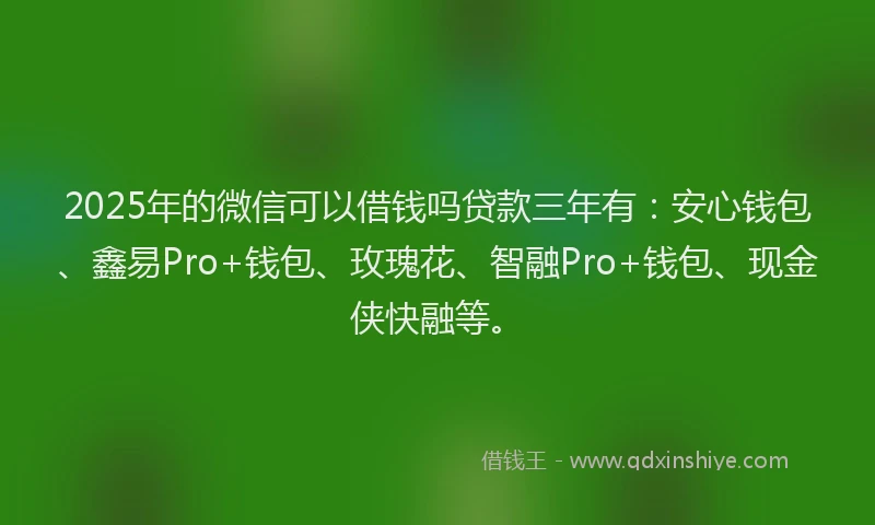2025年的微信可以借钱吗贷款三年有：安心钱包、鑫易Pro+钱包、玫瑰花、智融Pro+钱包、现金侠快融等。