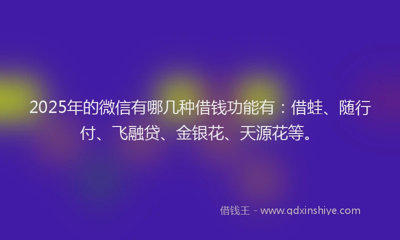 2025年的微信有哪几种借钱功能有：借蛙、随行付、飞融贷、金银花、天源花等。