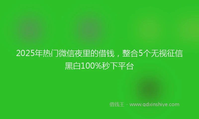 2025年热门微信夜里的借钱，整合5个无视征信黑白100%秒下平台
