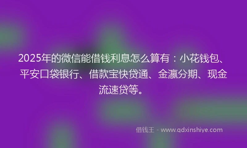 2025年的微信能借钱利息怎么算有：小花钱包、平安口袋银行、借款宝快贷通、金瀛分期、现金流速贷等。