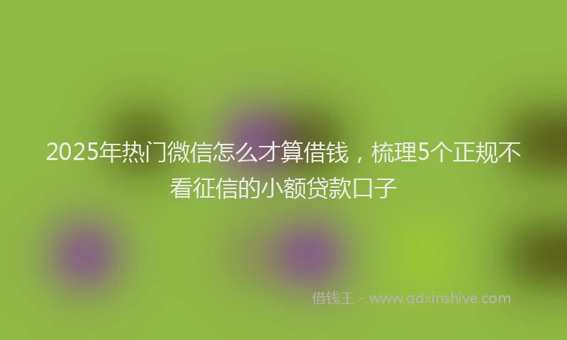 2025年热门微信怎么才算借钱，梳理5个正规不看征信的小额贷款口子