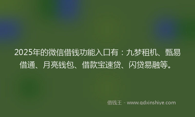 2025年的微信借钱功能入口有：九梦租机、甄易借通、月亮钱包、借款宝速贷、闪贷易融等。