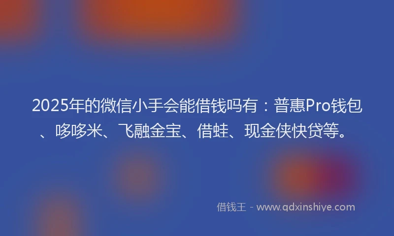 2025年的微信小手会能借钱吗有：普惠Pro钱包、哆哆米、飞融金宝、借蛙、现金侠快贷等。