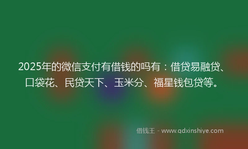 2025年的微信支付有借钱的吗有：借贷易融贷、口袋花、民贷天下、玉米分、福星钱包贷等。
