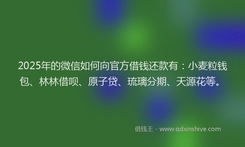 2025年的微信如何向官方借钱还款有：小麦粒钱包、林林借呗、原子贷、琉璃分期、天源花等。