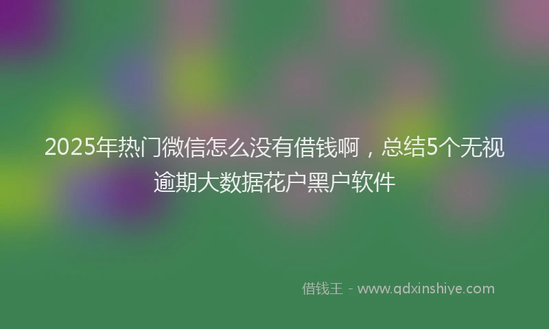 2025年热门微信怎么没有借钱啊，总结5个无视逾期大数据花户黑户软件