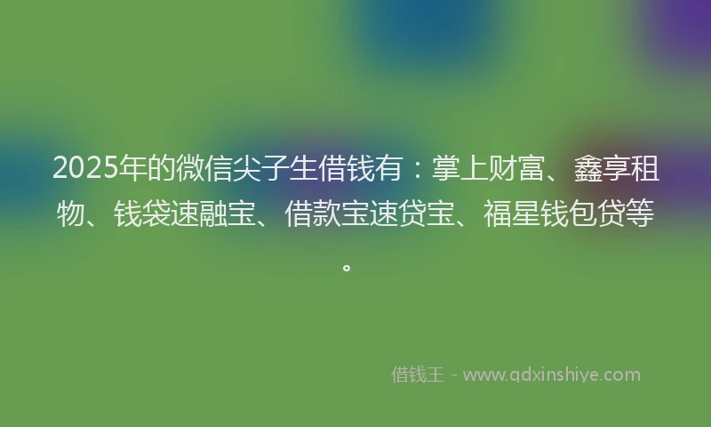 2025年的微信尖子生借钱有：掌上财富、鑫享租物、钱袋速融宝、借款宝速贷宝、福星钱包贷等。