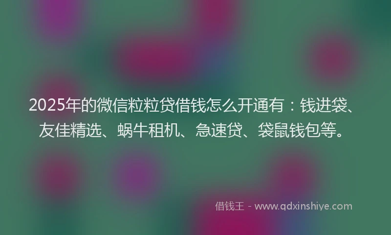 2025年的微信粒粒贷借钱怎么开通有：钱进袋、友佳精选、蜗牛租机、急速贷、袋鼠钱包等。