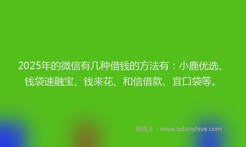2025年的微信有几种借钱的方法有：小鹿优选、钱袋速融宝、钱来花、和信借款、宜口袋等。