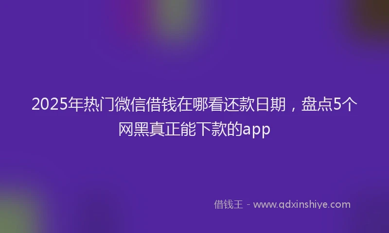 2025年热门微信借钱在哪看还款日期，盘点5个网黑真正能下款的app
