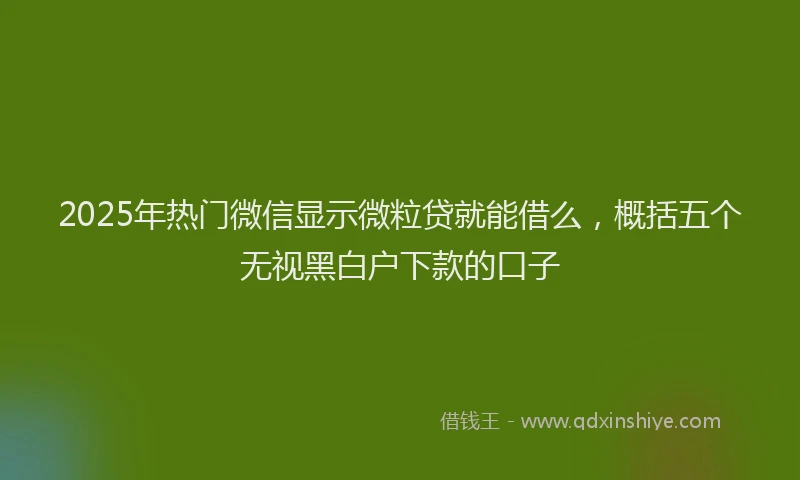 2025年热门微信显示微粒贷就能借么，概括五个无视黑白户下款的口子