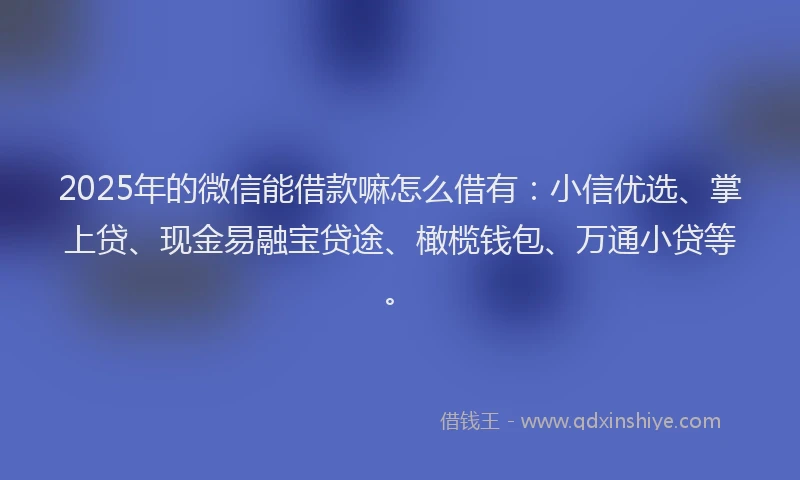 2025年的微信能借款嘛怎么借有：小信优选、掌上贷、现金易融宝贷途、橄榄钱包、万通小贷等。