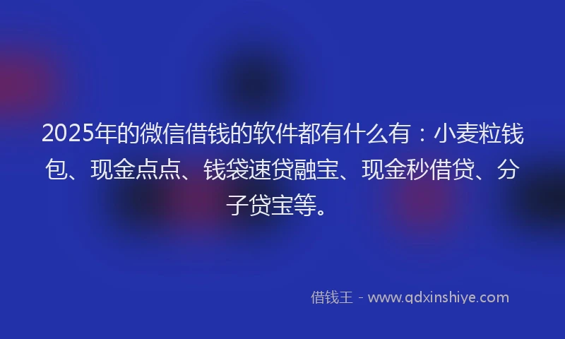 2025年的微信借钱的软件都有什么有：小麦粒钱包、现金点点、钱袋速贷融宝、现金秒借贷、分子贷宝等。