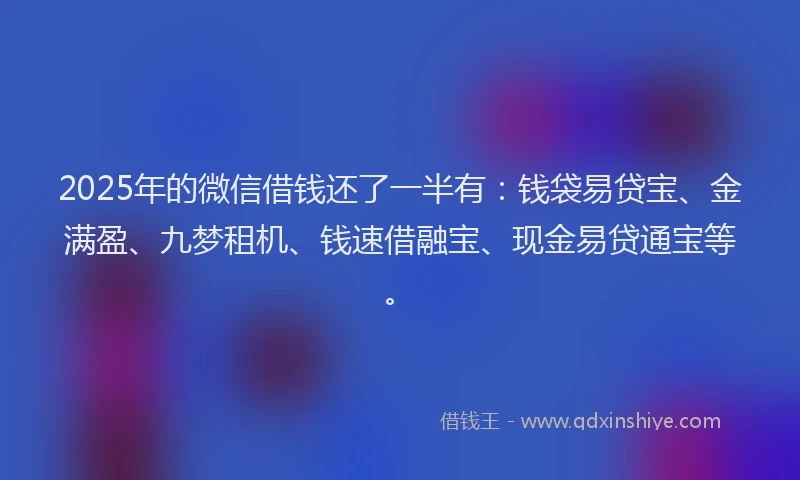 2025年的微信借钱还了一半有：钱袋易贷宝、金满盈、九梦租机、钱速借融宝、现金易贷通宝等。