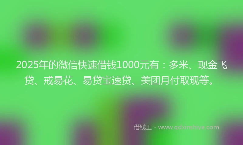 2025年的微信快速借钱1000元有：多米、现金飞贷、戒易花、易贷宝速贷、美团月付取现等。