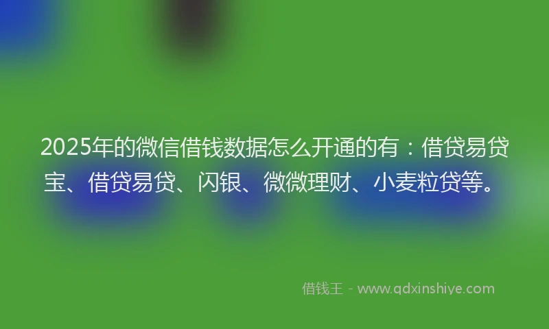 2025年的微信借钱数据怎么开通的有：借贷易贷宝、借贷易贷、闪银、微微理财、小麦粒贷等。