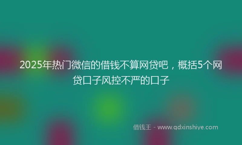 2025年热门微信的借钱不算网贷吧，概括5个网贷口子风控不严的口子