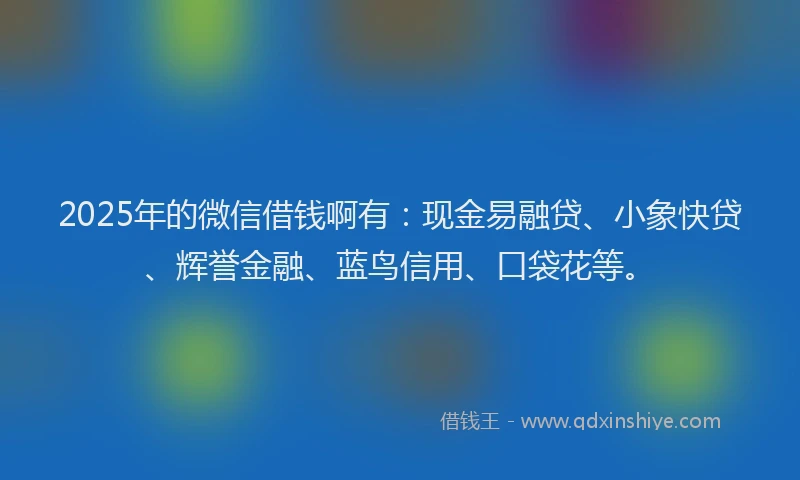 2025年的微信借钱啊有：现金易融贷、小象快贷、辉誉金融、蓝鸟信用、口袋花等。
