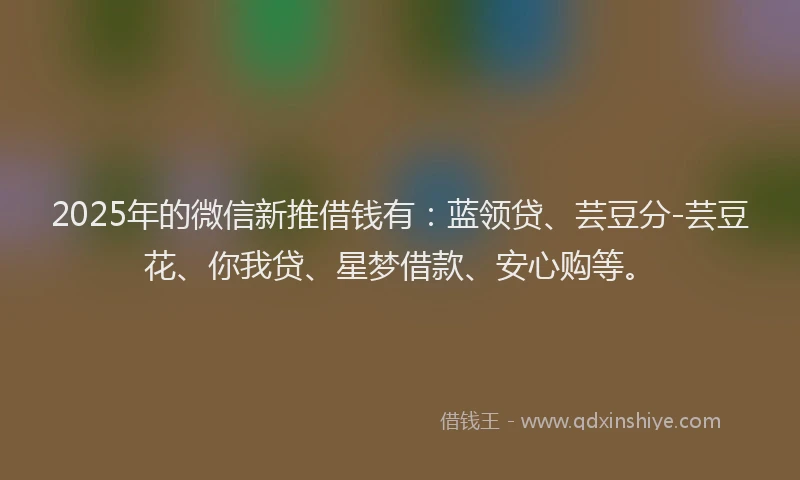 2025年的微信新推借钱有：蓝领贷、芸豆分-芸豆花、你我贷、星梦借款、安心购等。