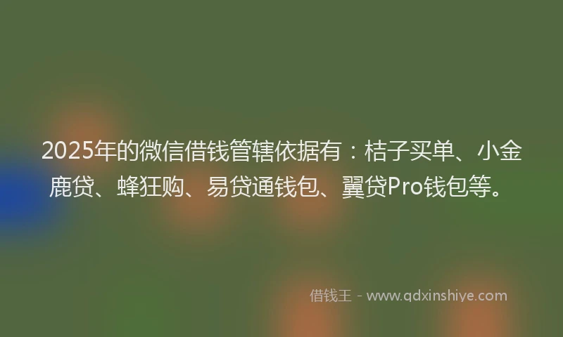 2025年的微信借钱管辖依据有：桔子买单、小金鹿贷、蜂狂购、易贷通钱包、翼贷Pro钱包等。