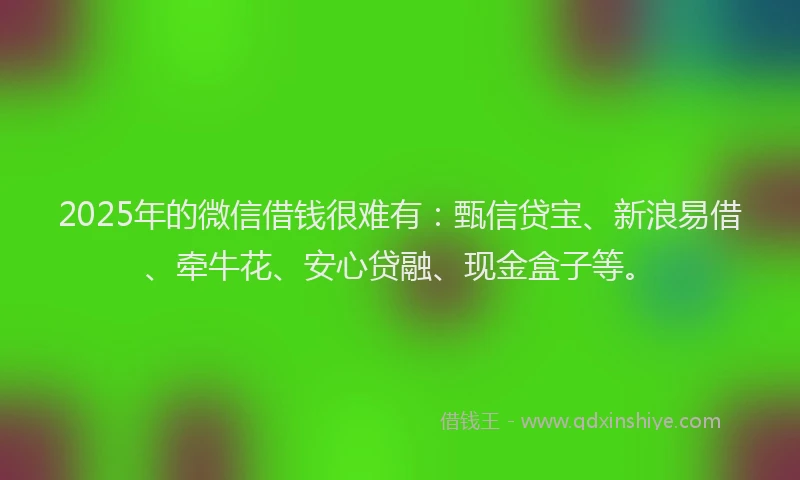 2025年的微信借钱很难有：甄信贷宝、新浪易借、牵牛花、安心贷融、现金盒子等。