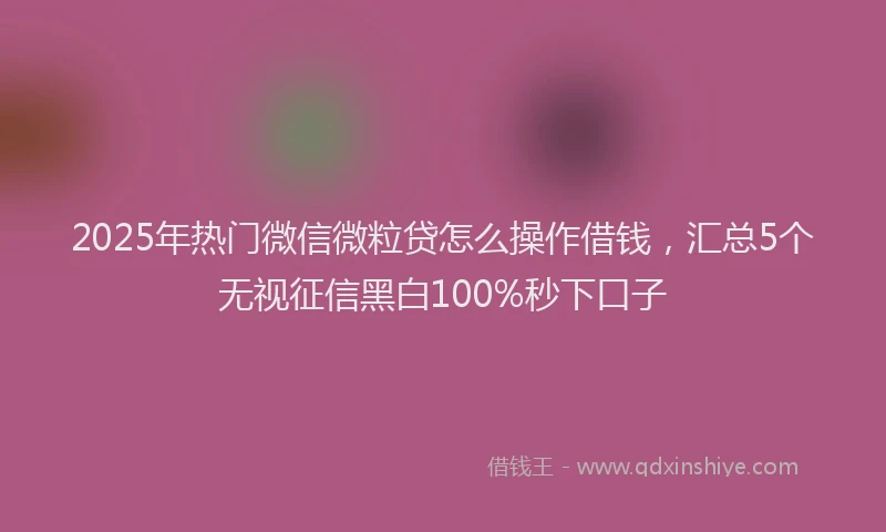 2025年热门微信微粒贷怎么操作借钱，汇总5个无视征信黑白100%秒下口子
