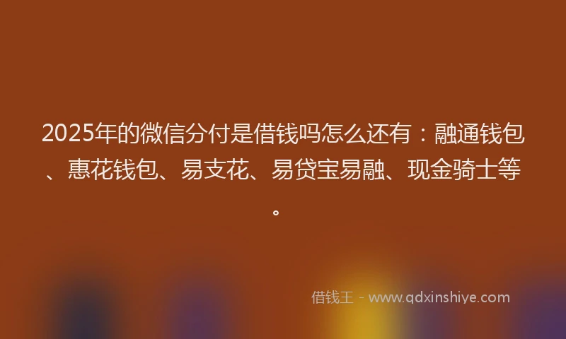 2025年的微信分付是借钱吗怎么还有：融通钱包、惠花钱包、易支花、易贷宝易融、现金骑士等。